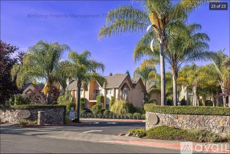 A street view of a residential area with a sign that reads "BirdSong Property Management 7".