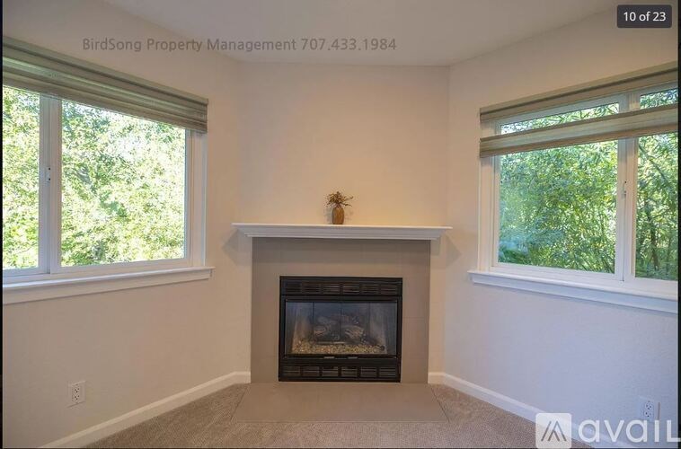 A room with a fireplace and two windows.