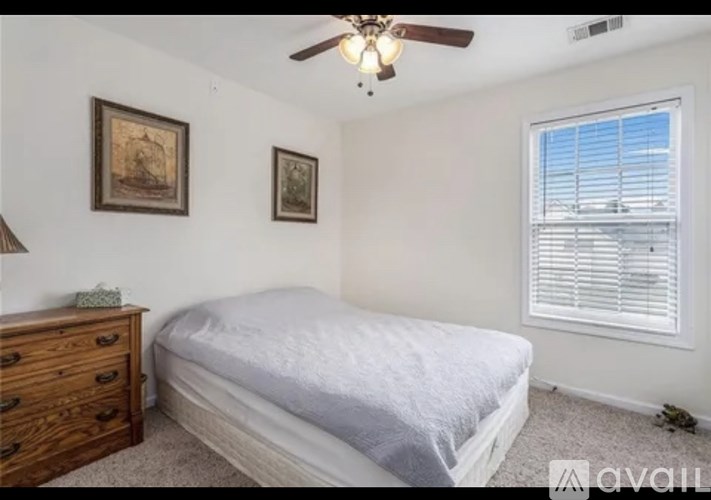 207 Providence Dr 3 Beds Apartment for Rent - Photo Gallery 8