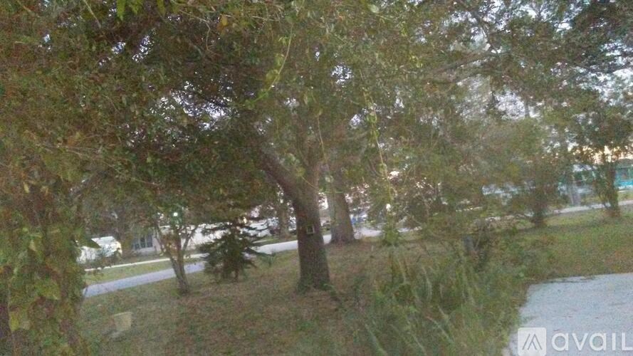 A tree in a grassy area with a path leading to a building in the background.