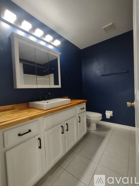 3471 Horse Creek Circle 3 Beds Townhouse for Rent - Photo Gallery 15