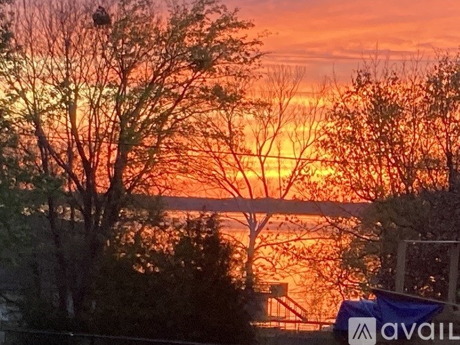 223 Port Drive 3 Beds Single Family Home for Rent - Photo Gallery 5