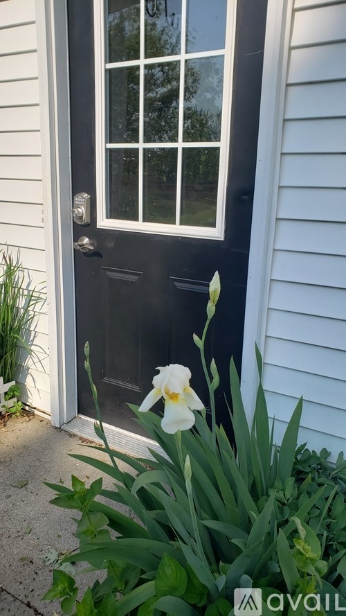 A white house with a black door and a flower in front.