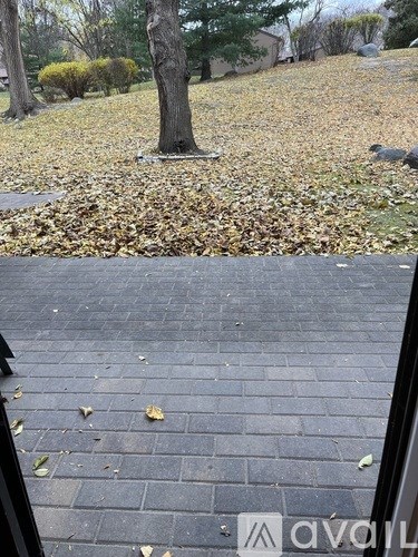 429 West Eagle Lake Drive 2 Beds Single Family Home for Rent - Photo Gallery 7