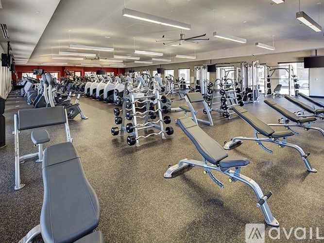 A gym with a variety of equipment including treadmills, weights, and benches.