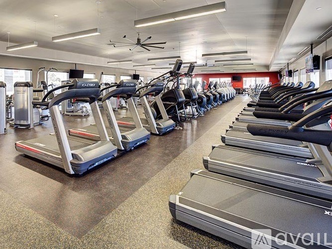 A row of treadmills are lined up in a gym.