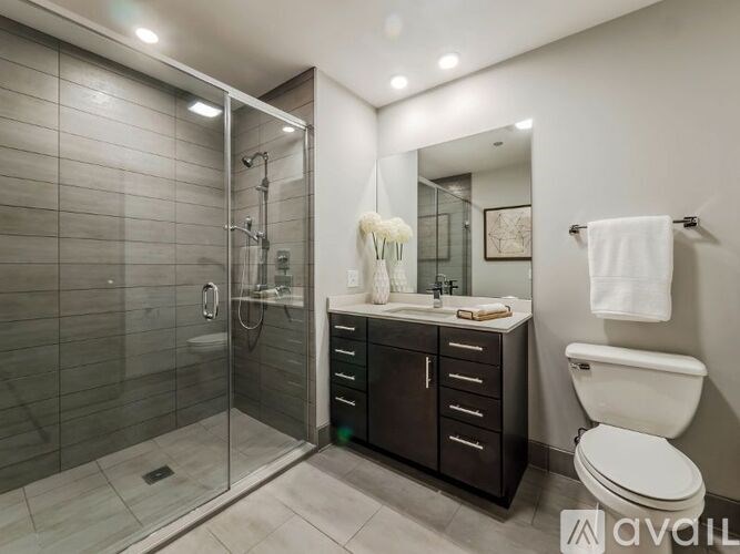 445 E Ohio St 1 Bed Apartment for Rent - Photo Gallery 5