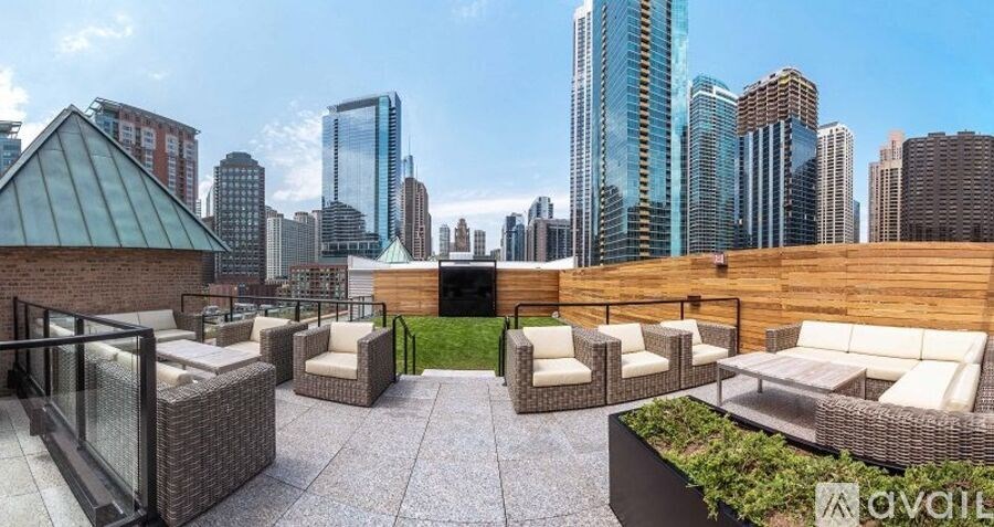 445 E Ohio St 1 Bed Apartment for Rent - Photo Gallery 6