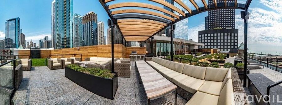 445 E Ohio St 1 Bed Apartment for Rent - Photo Gallery 10