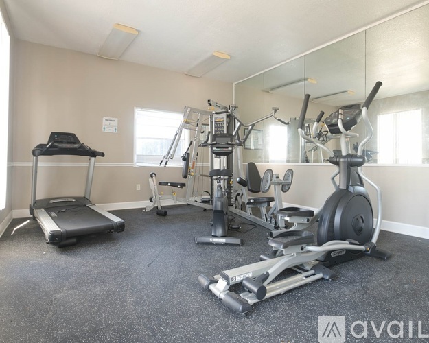 A well-equipped home gym with a variety of exercise machines.