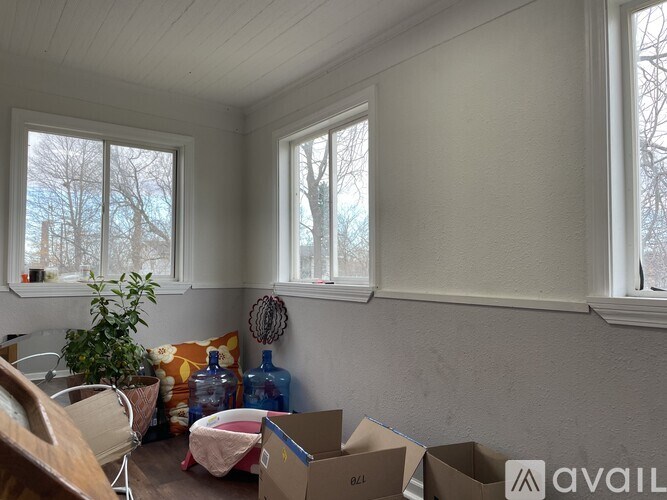 A room with boxes and a plant on the floor.