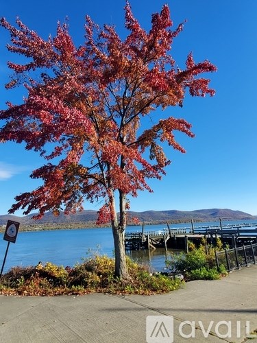 A tree with red leaves stands in front of a body of water.
