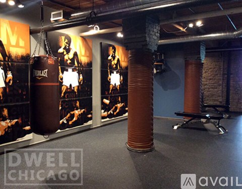 445 E Ohio St 2 Beds Apartment for Rent - Photo Gallery 14