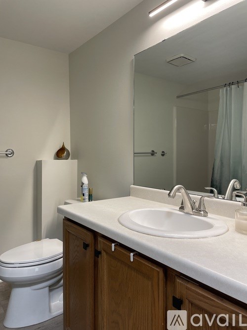 A bathroom with a white toilet, sink, and mirror.