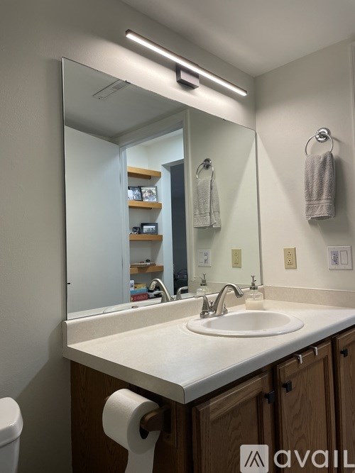 A bathroom with a white sink and a mirror above it.
