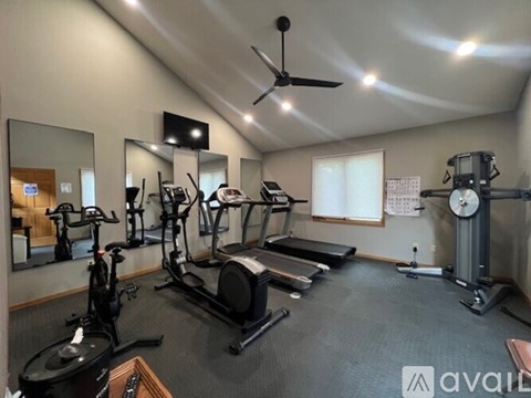 A well-equipped home gym with a variety of exercise machines.