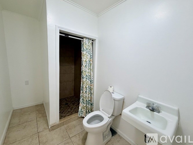 308 South Division Street 4 Beds Single Family Home for Rent - Photo Gallery 18