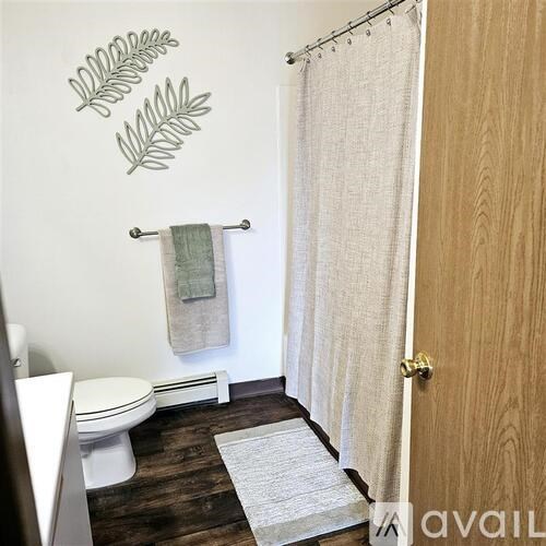 A bathroom with a toilet, a shower curtain, and a wooden door.