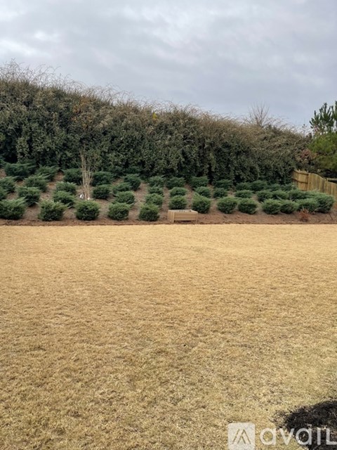 5320 Austrian Pine Ct 5 Beds Single Family Home for Rent - Photo Gallery 14