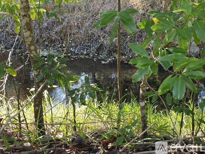 1601 Big Tree Rd 2 Beds Apartment for Rent - Photo Gallery 14