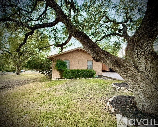 A house is surrounded by a large tree.