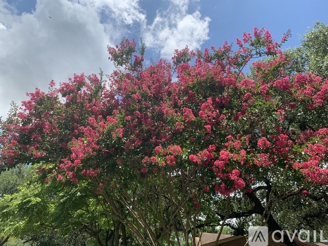 A tree with pink flowers is in the foreground with a cloudy sky in the background.