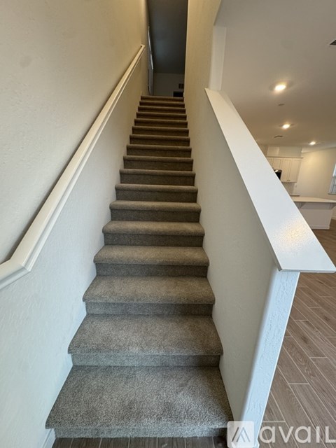 A staircase with a carpeted runner and white handrails.