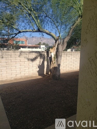 3560 North Tucson Boulevard 2 Beds Single Family Home for Rent - Photo Gallery 19