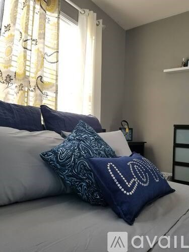 6267 Aster Haven Circle 1 Bed Single Family Home for Rent - Photo Gallery 3