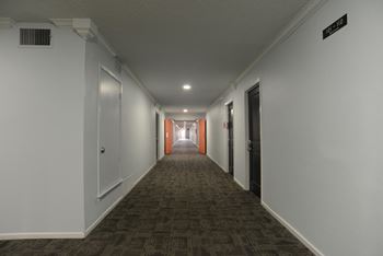 Interior Halls and Elevators