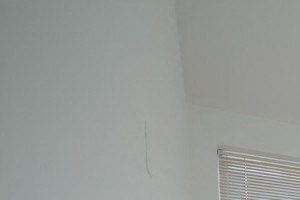Bedroom with 3 windows and carpeted floors