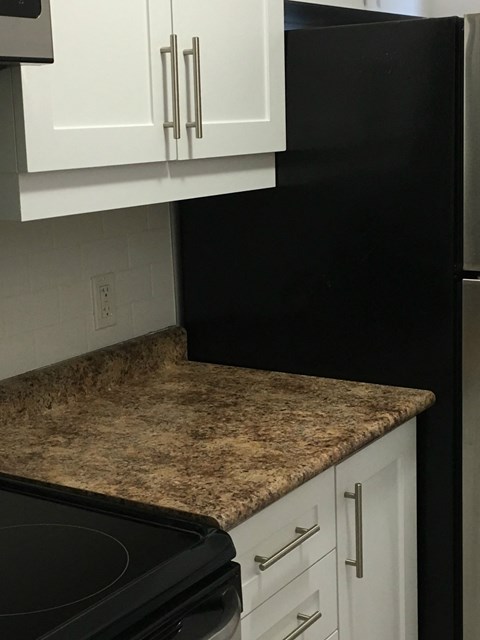 A black refrigerator sits next to a granite countertop in a kitchen.