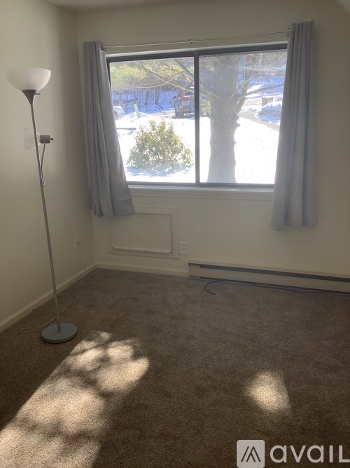 A room with a carpeted floor, a floor lamp, and a window with a view of the outside.