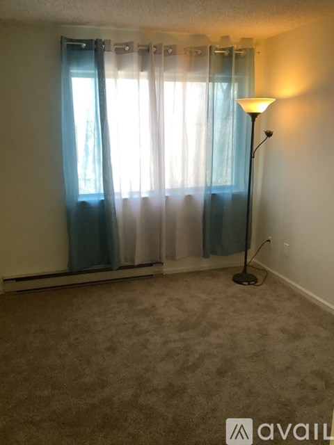 A room with a carpet, a floor lamp and a window with curtains.