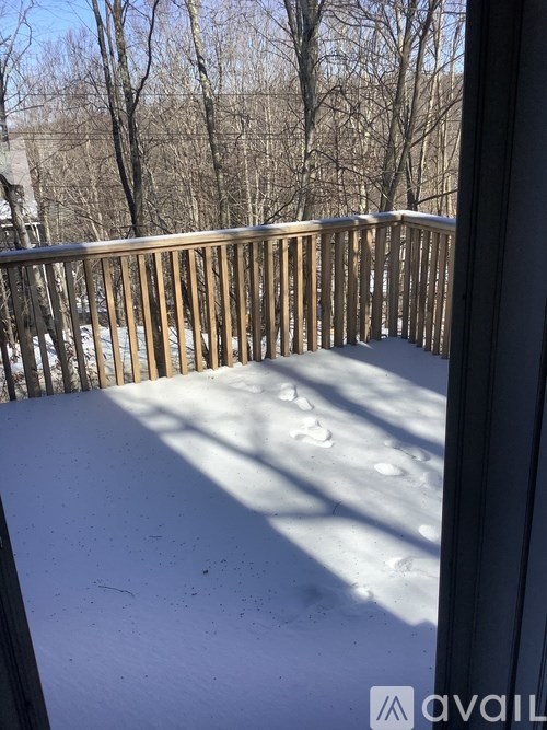 A wooden deck covered in snow with trees in the background.