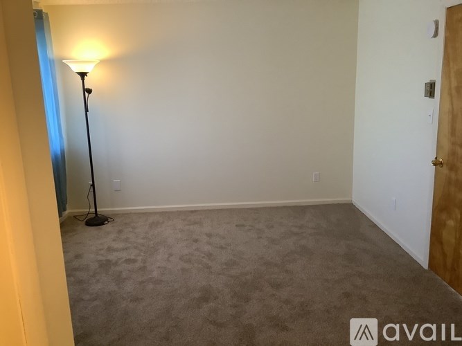 A lamp stands in a room with a carpeted floor and white walls.