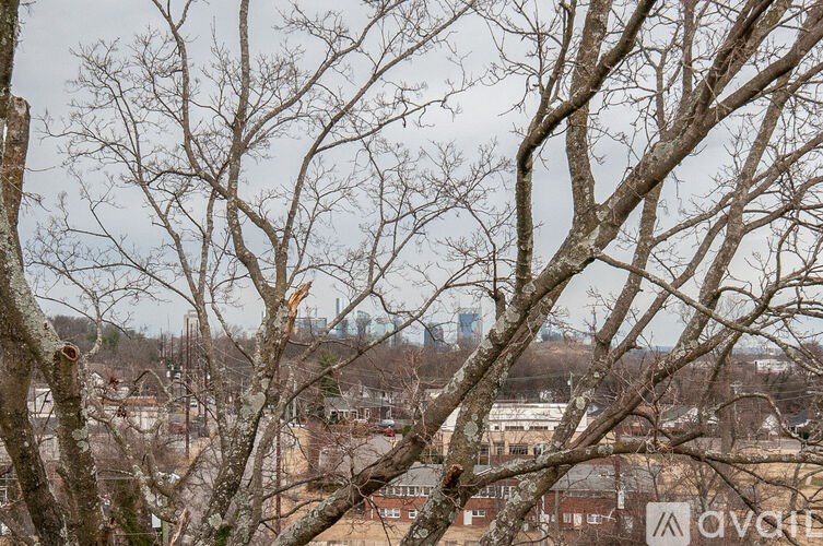 A view of a cityscape through the branches of a tree.
