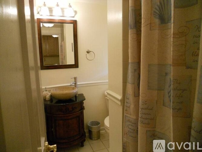 A bathroom with a sink, mirror, and shower curtain.