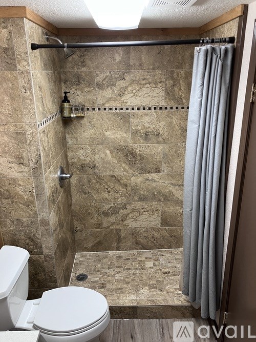 A bathroom with a toilet, a walk in shower, and a grey shower curtain.