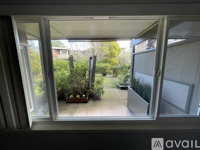 A view from inside a room looking out to a garden through a window.