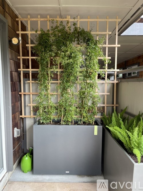 A grey planter box with green plants in it.