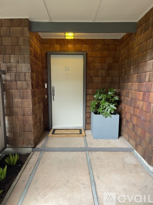 A white door with a number 36 on it is flanked by two plants.