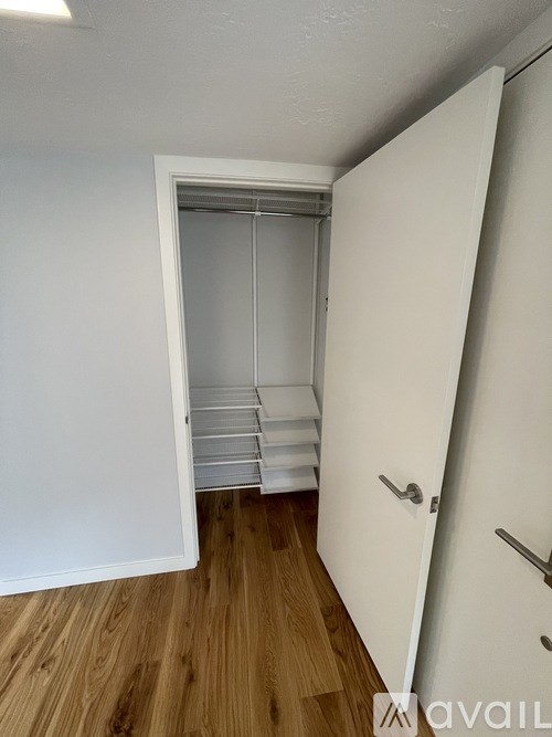A white door is open to a small closet with shelves.