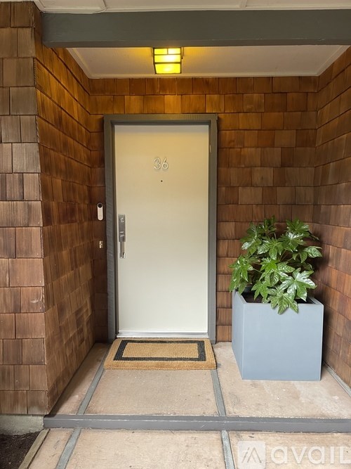 A door with the number 36 on it is flanked by a plant and a wall.