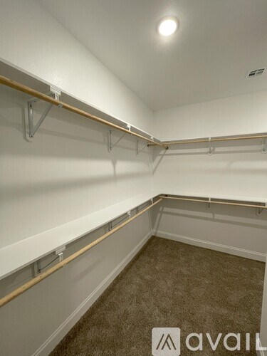 A carpeted room with a wall of shelves.