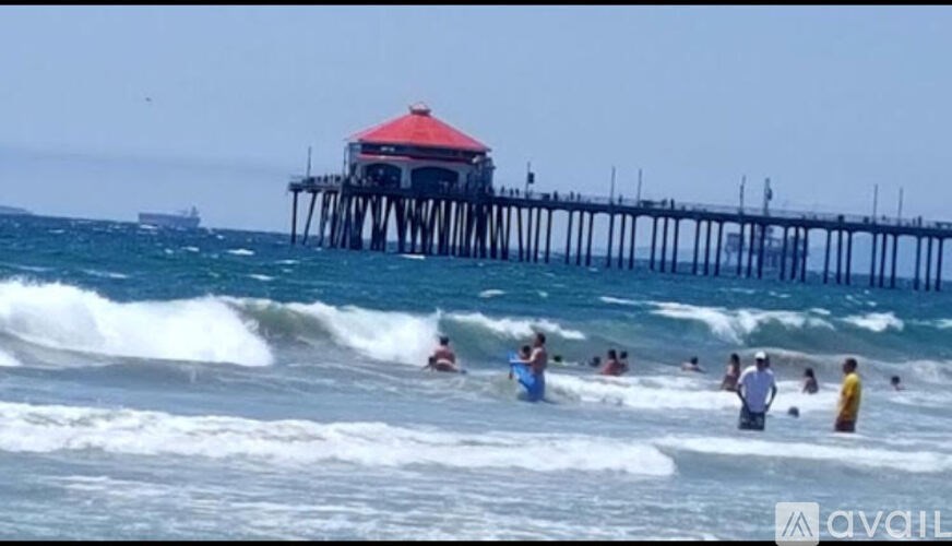 A group of people are in the water near a pier.
