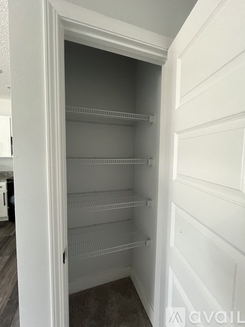 A white pantry with shelves and a door open.