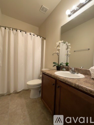 2642 Dayview Lane 3 Beds Single Family Home for Rent - Photo Gallery 6