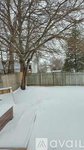 A snow-covered ground with a tree and a fence in the background.