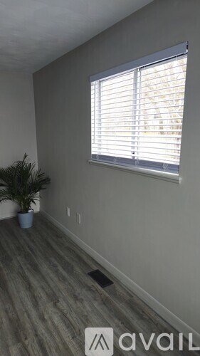 A room with a window and a plant.